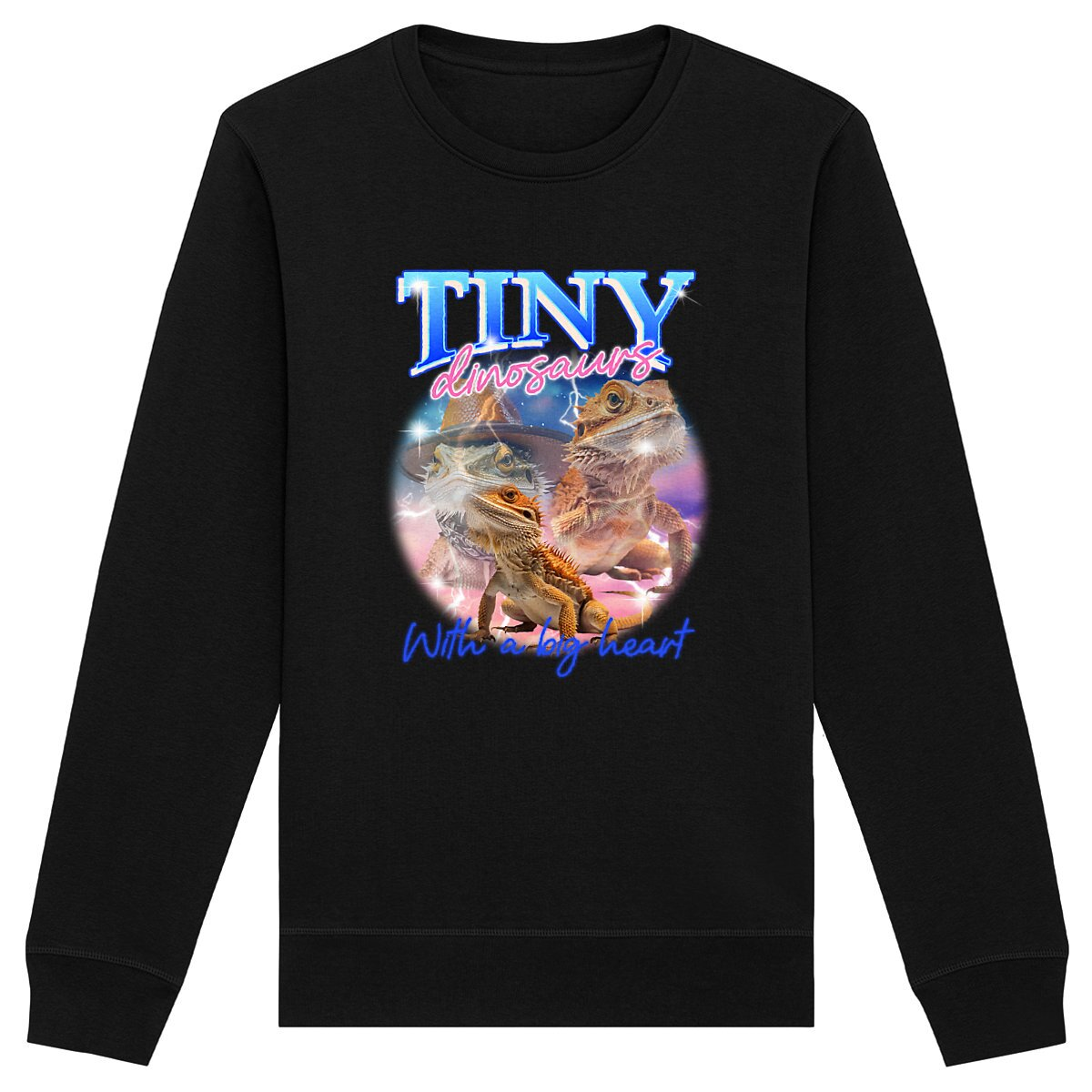 Tiny Dinosaurs - Organic Sweatshirt | Unisex Fit, Ethically Produced