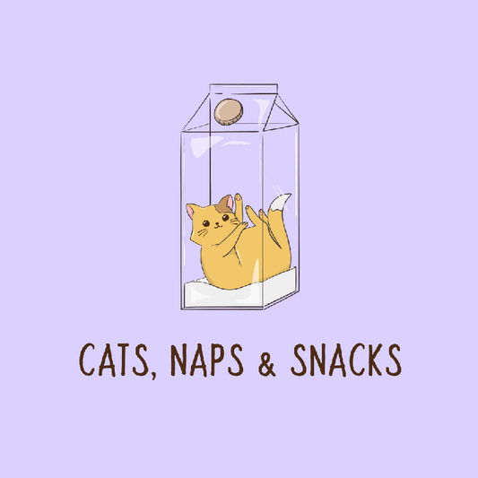 Cats, Naps & Snacks - Organic Cotton Hoodie | Cozy Unisex Fit