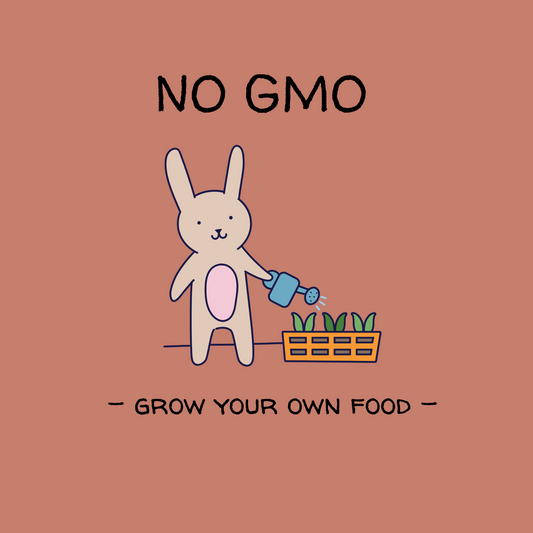 No GMO Organic Cotton Onesie – Unisex Fit | Ethically Produced Baby Bodysuit